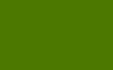 Kawasaki Candy Lime Green 8N