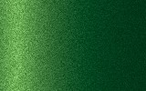 Kawasaki Green 51K