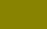 Suzuki Candy Jade Lime Yellow 204