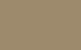 Suzuki Desert Khaki PRU