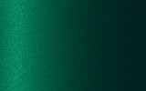 Triumph Forrest Green RF2510