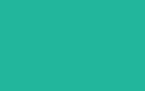 GENERAL MOTORS CORP Mint Green WT2
